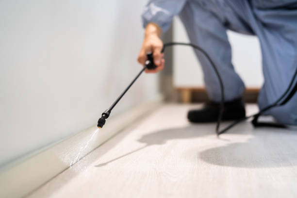 Licensed Pest Control service in Kent, WA - Show Me Pest Control