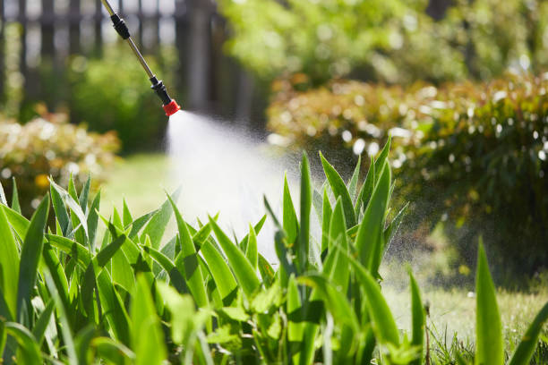 24/7 Emergency Mosquito Control experts in Kent, WA