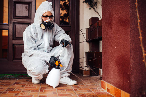 Reliable Mosquito Control contractor in Kent, WA by Show Me Pest Control