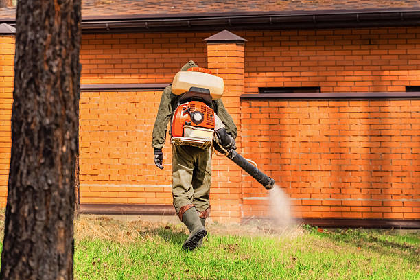 Top rated local Mosquito Control specialists in Kent, WA